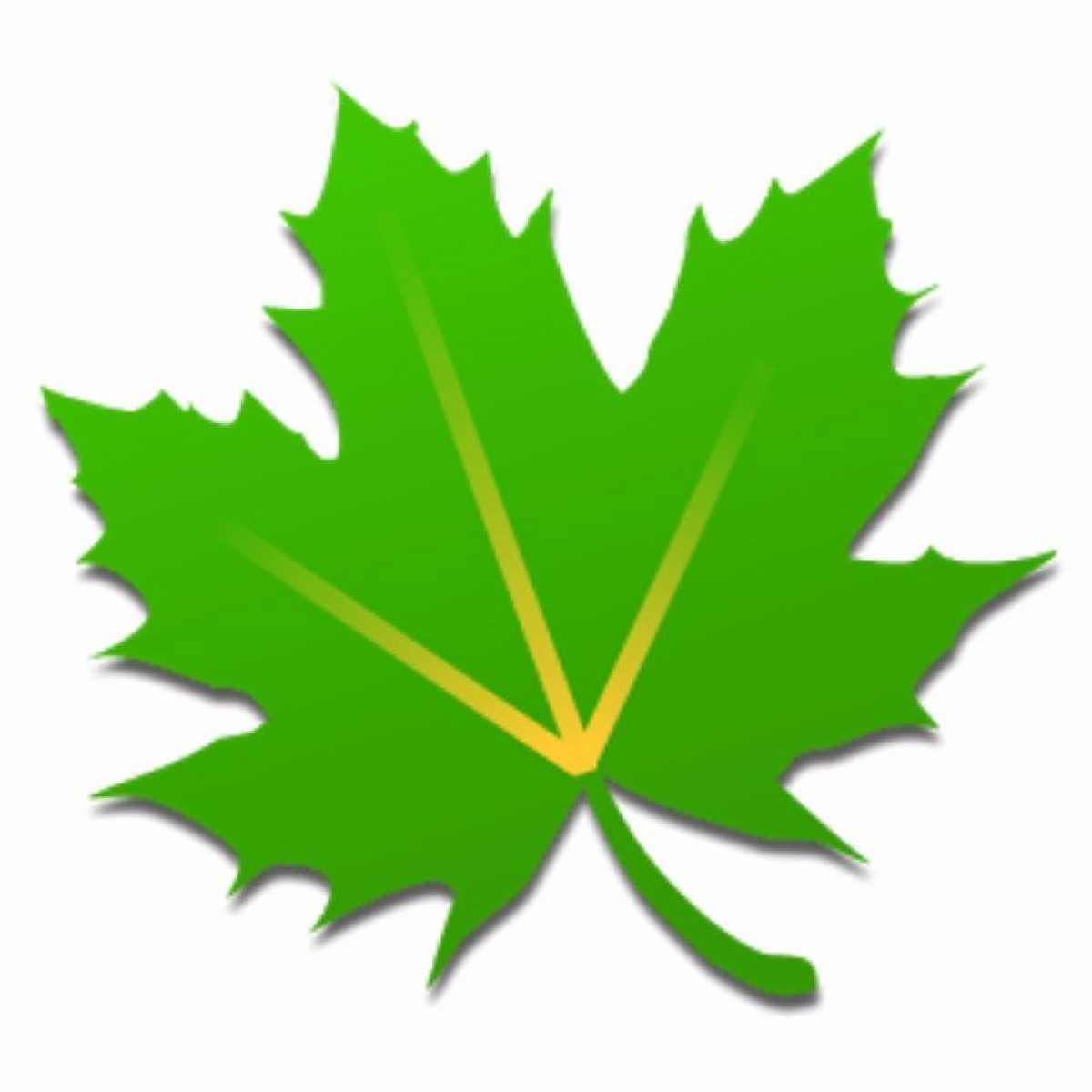 Greenify v5.0 (Mod) APK