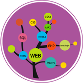 Learn Web Development Pro v1.8 Apk