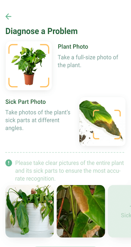 NatureID: Identify plants, flowers, trees & leaves v2.10.7 (Mod) (Unlocked) APK