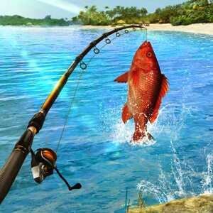 Fishing Clash: Catching Fish Game. Bass Hunting 3D v1.0.186 Mod Apk