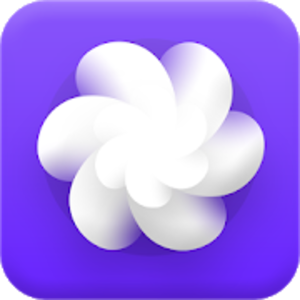 Bloom Icon Pack v4.0 (Patched) APK