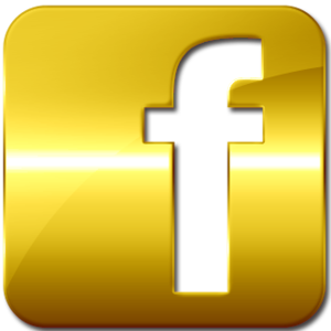 Facebook 2 (GOLD) v324 (Clone) + (Messenger) APK