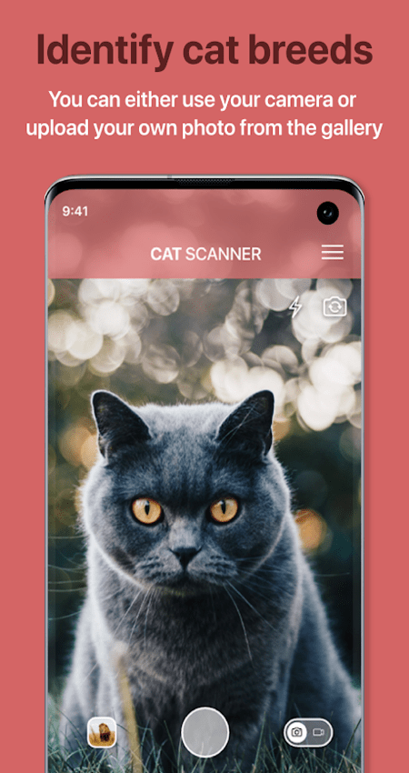 Cat Scanner – Cat Breed Identification v11.2.2-G (Unlocked) APK