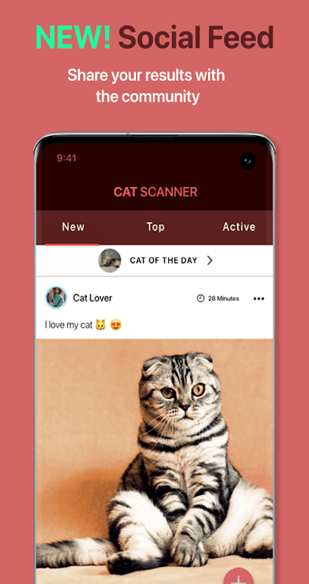Cat Scanner – Cat Breed Identification v11.2.4-G Mod (Unlocked) APK