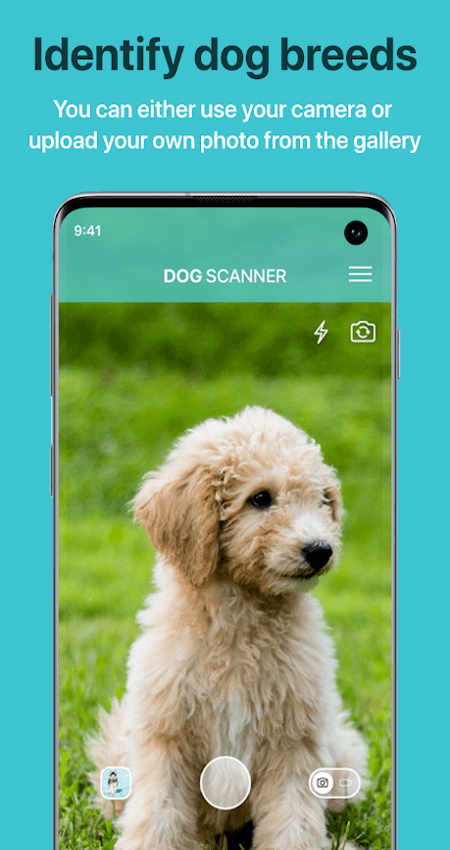 Dog Scanner – Dog Breed Identification v11.2.4-G (Unlocked) APK