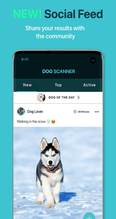 Dog Scanner – Dog Breed Identification v11.2.4-G (Unlocked) APK
