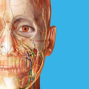 Human Anatomy Atlas 2023: Complete 3D Human Body v2023.0.09 (Paid) APK