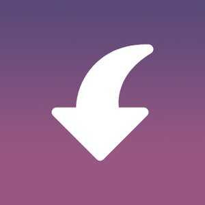Insget – Instagram Downloader v3.1.0 (Premium) APK