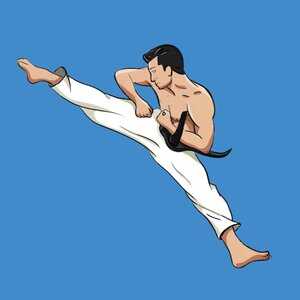 Mastering Taekwondo at Home v1.3.1 (Unlocked) APK