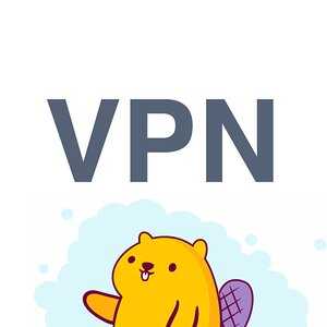 VPN service – VPN Beaver Proxy v2.31 (Vip) APK
