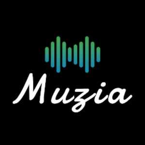 Muzia: Music on Display v1.1.7 (Mod)